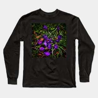 Crocus Flowers Long Sleeve T-Shirt